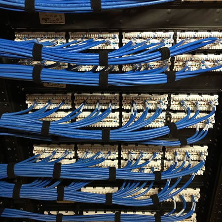 Structured cabling installation in a westshore tampa office